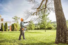 Best Tree Preservation Services  in Ina, IL